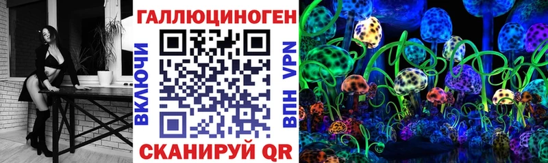 Галлюциногенные грибы Cubensis  что такое   KRAKEN зеркало  Иркутск 